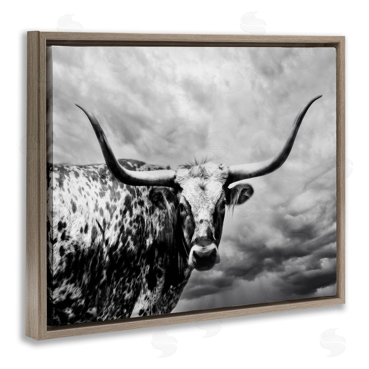 PHBurchett | Spotted Longhorn over Clouds