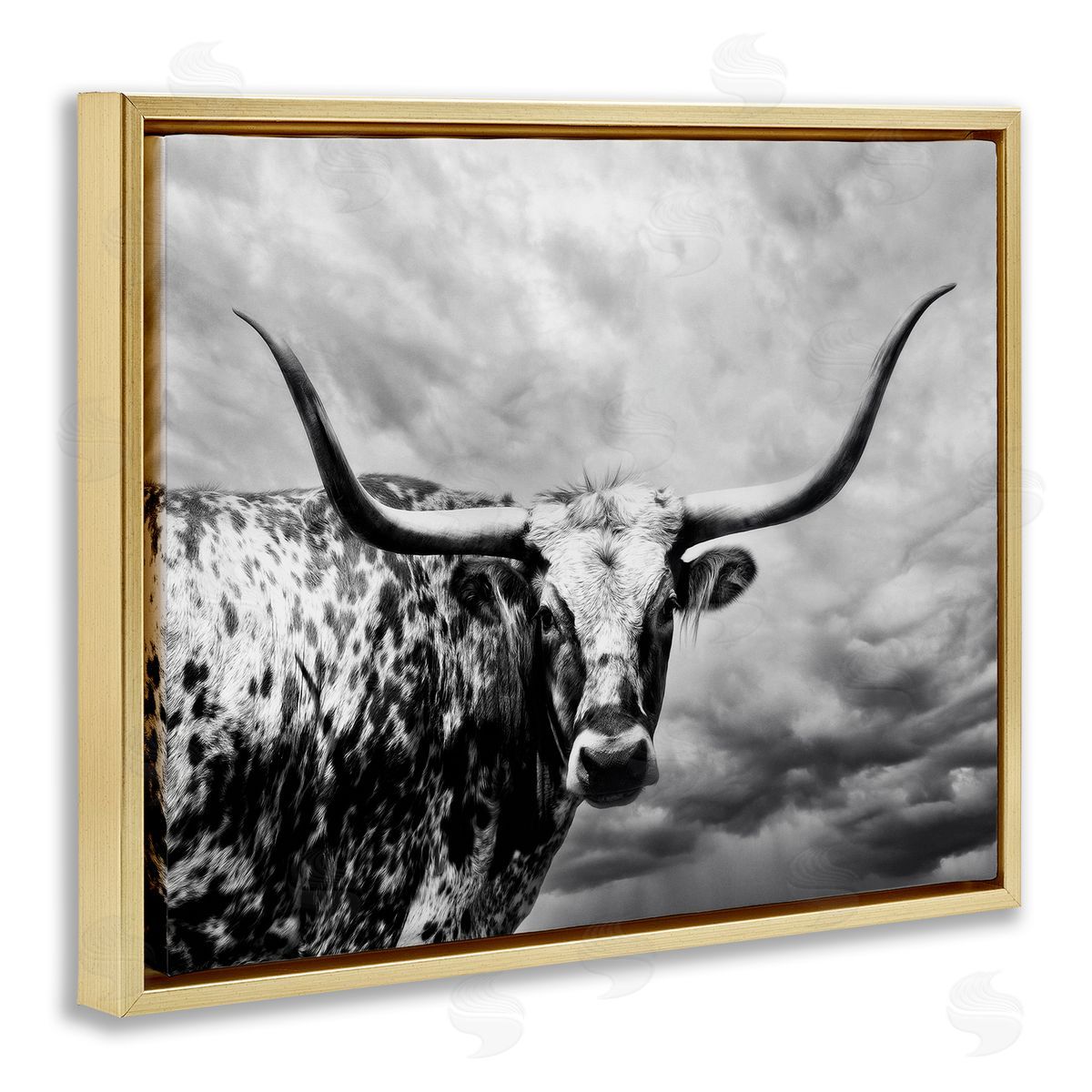 PHBurchett | Spotted Longhorn over Clouds
