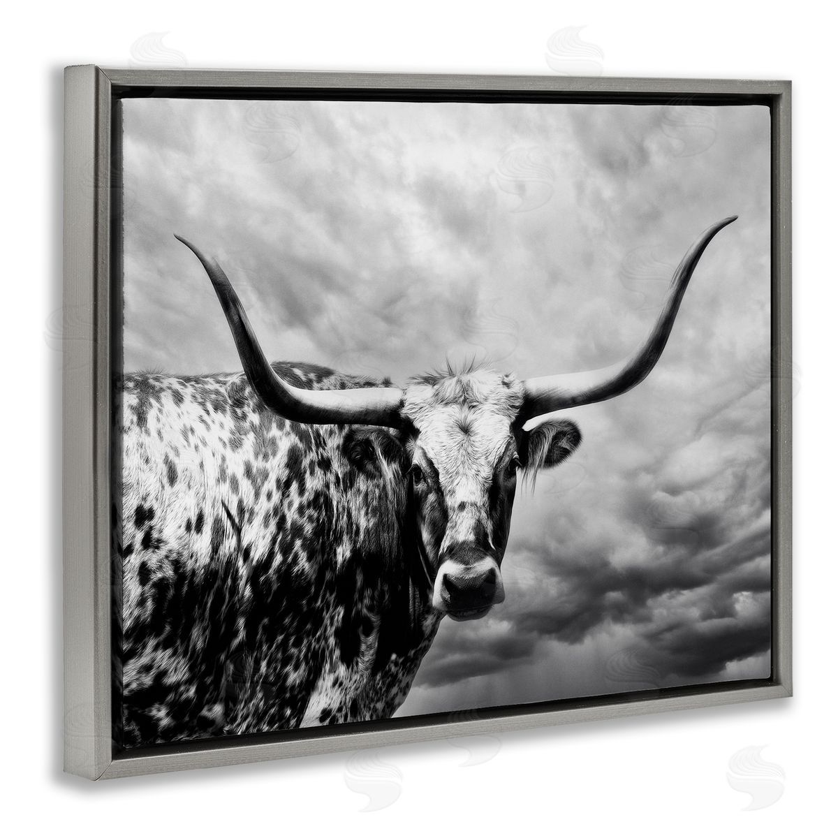 PHBurchett | Spotted Longhorn over Clouds
