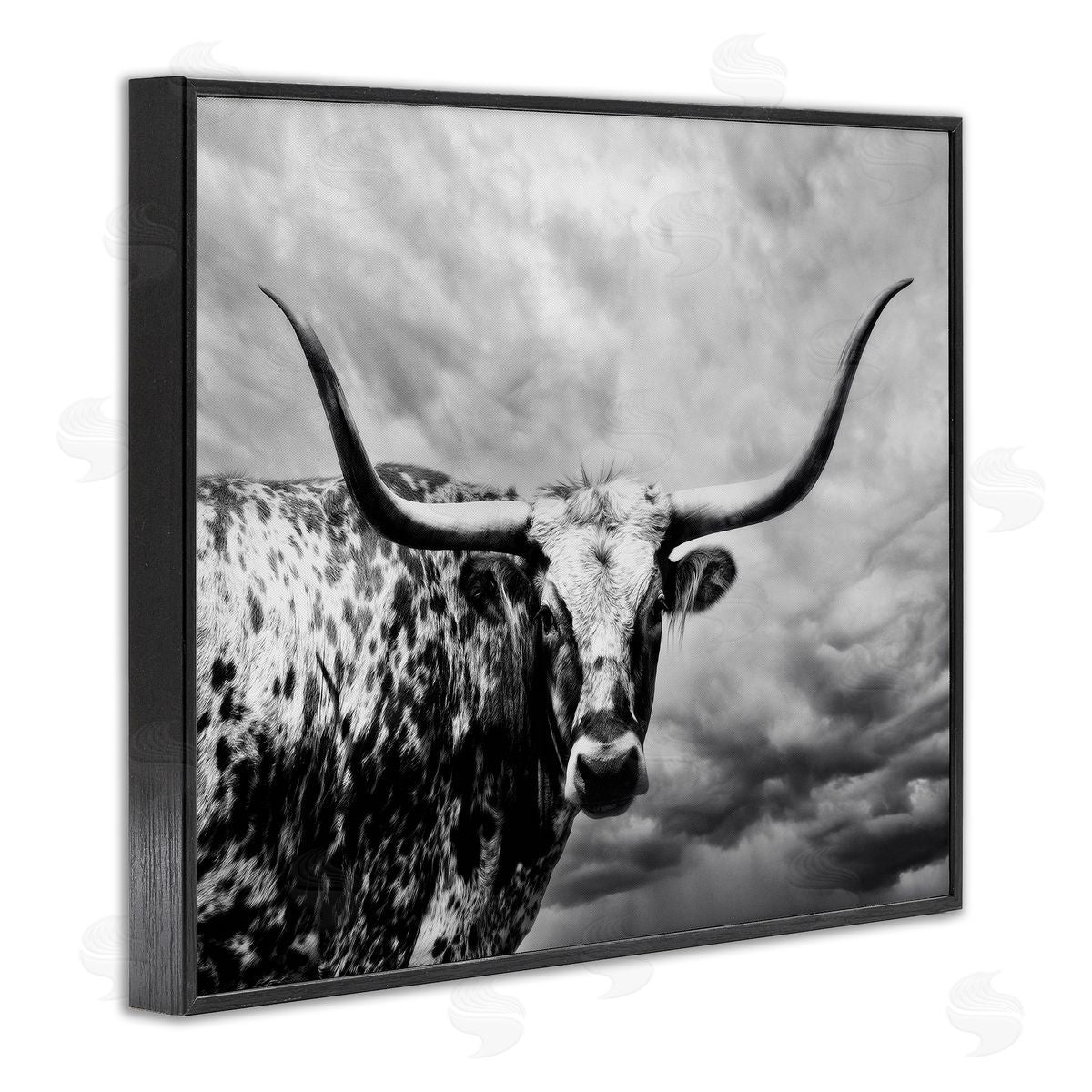 PHBurchett | Spotted Longhorn over Clouds