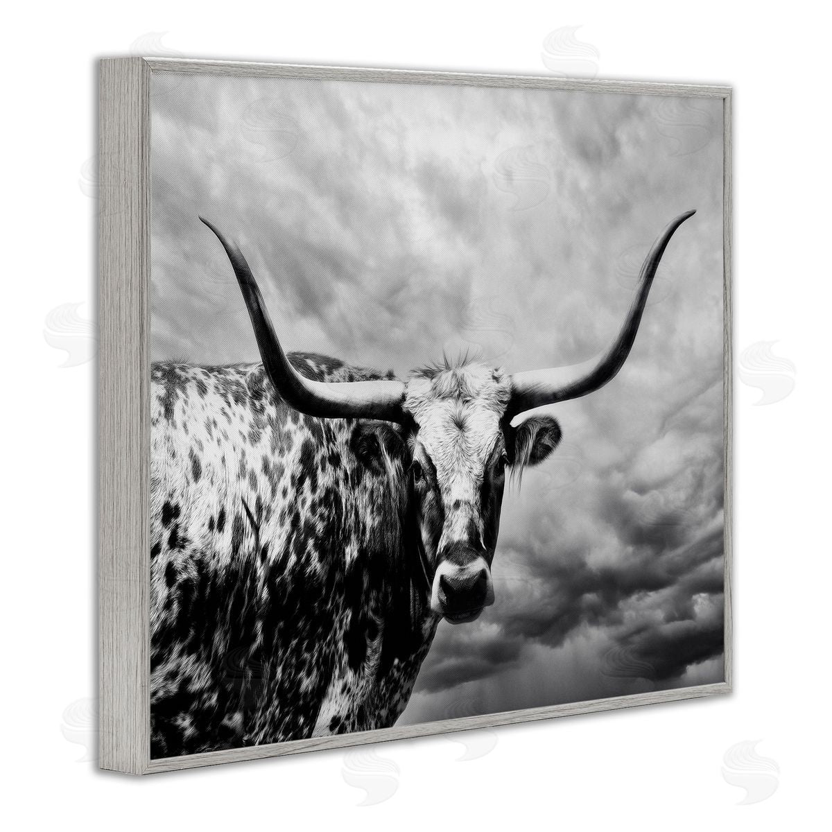 PHBurchett | Spotted Longhorn over Clouds