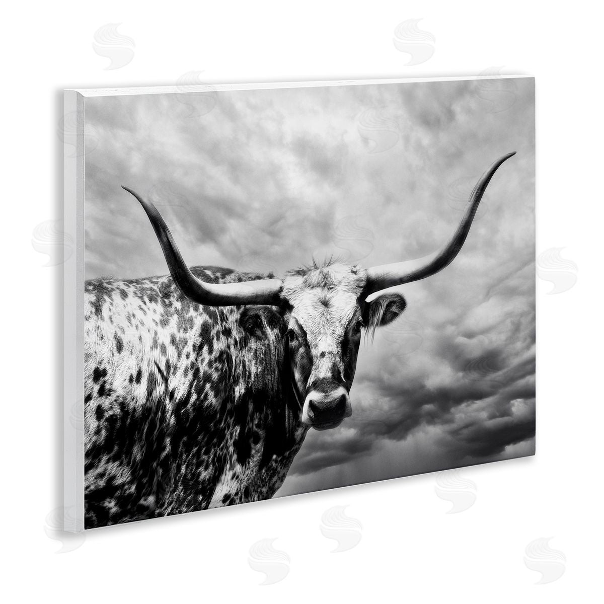 PHBurchett | Spotted Longhorn over Clouds