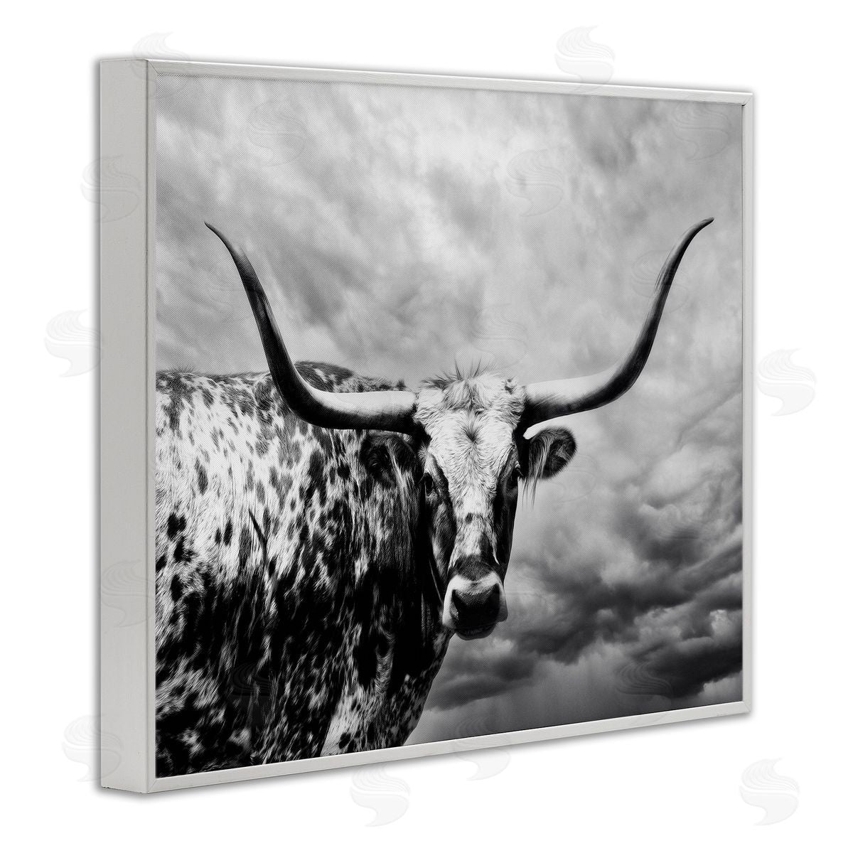 PHBurchett | Spotted Longhorn over Clouds