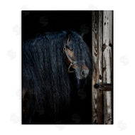 PHBurchett | Horse with Wavy Mane