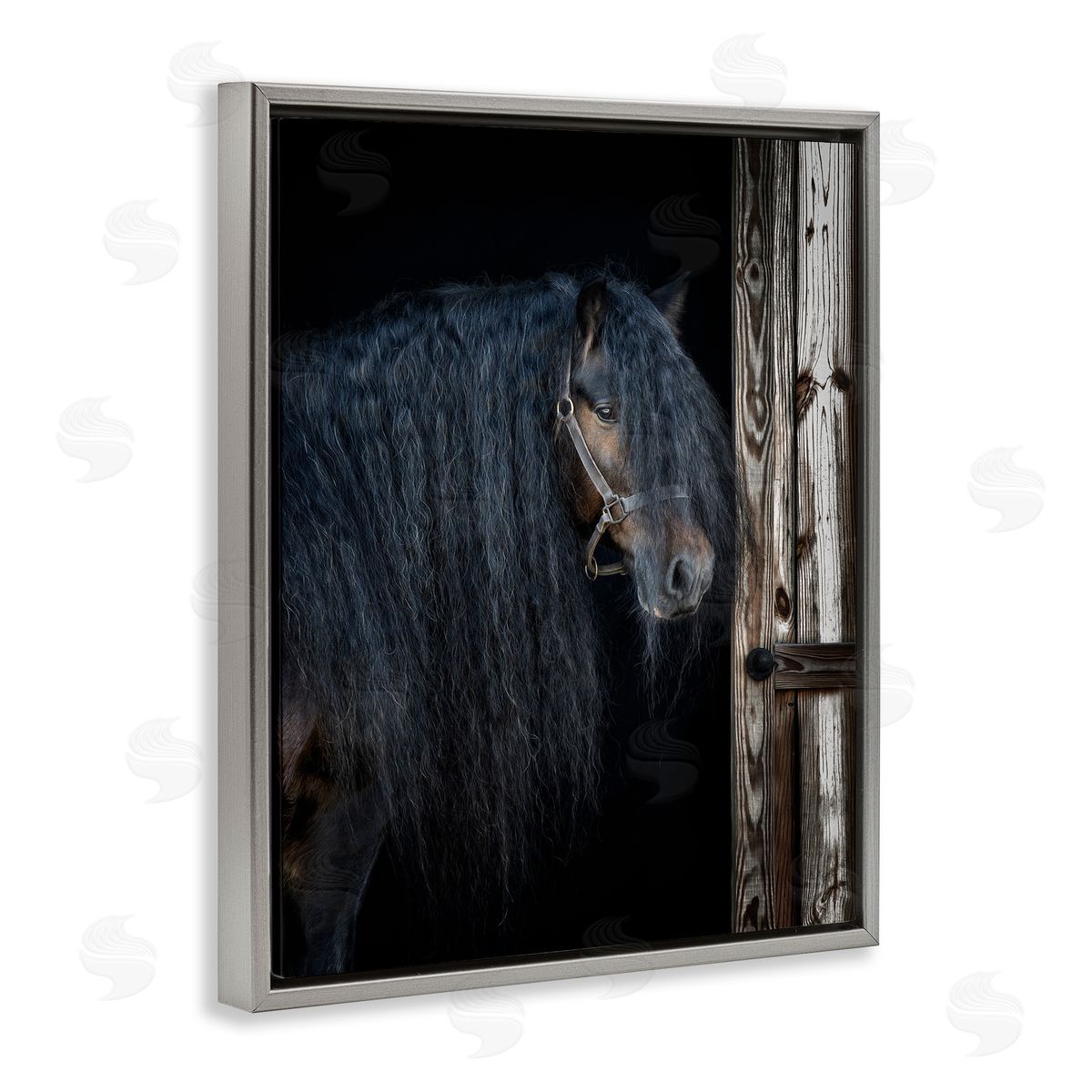 PHBurchett | Horse with Wavy Mane