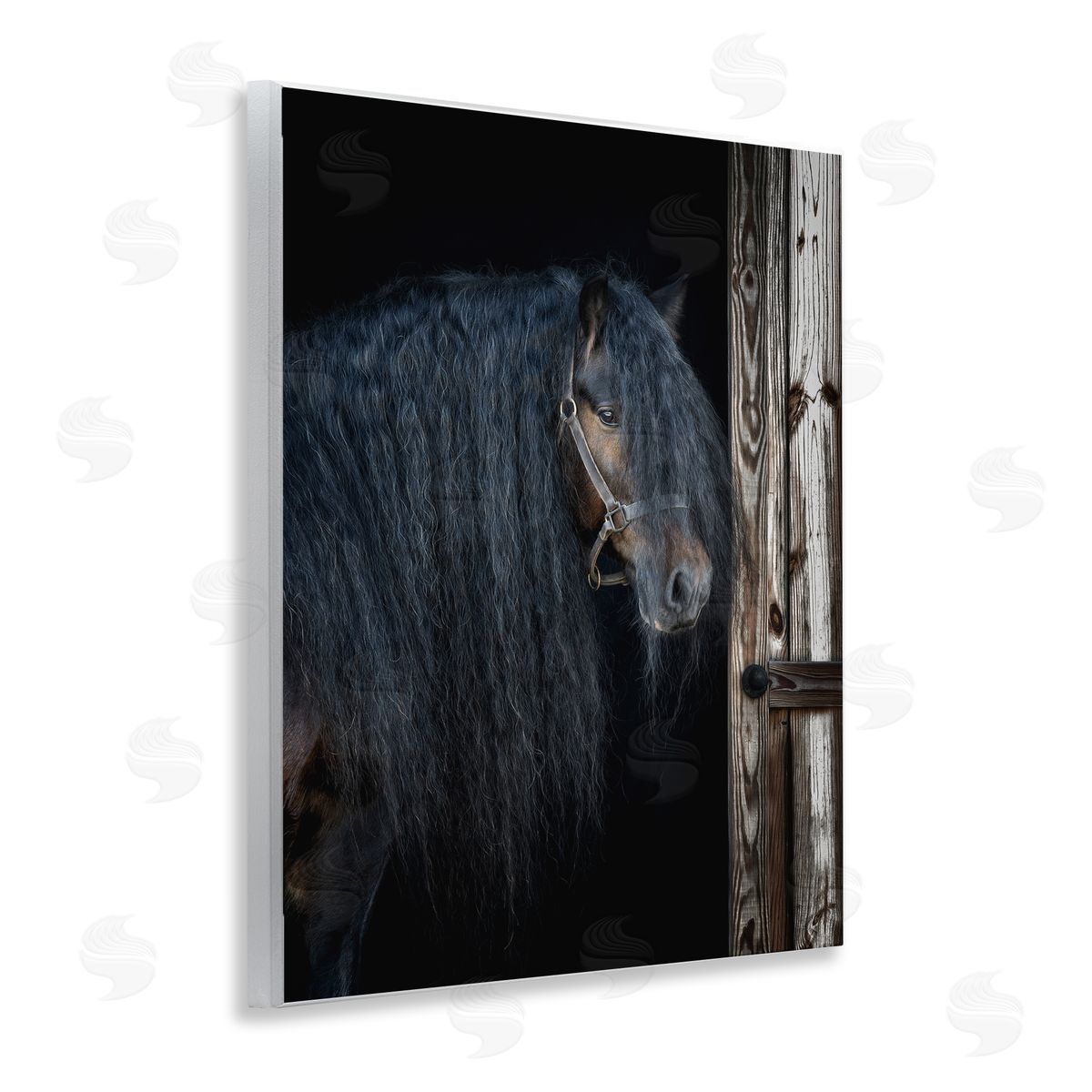 PHBurchett | Horse with Wavy Mane