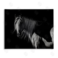 PHBurchett | Stoic Horse in Dark Lighting