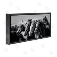PHBurchett | Monochrome Horse Herd Gallop