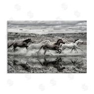 PHBurchett | Horses Splashing in Riverbank