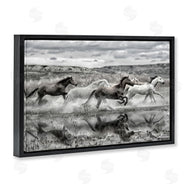 PHBurchett | Horses Splashing in Riverbank
