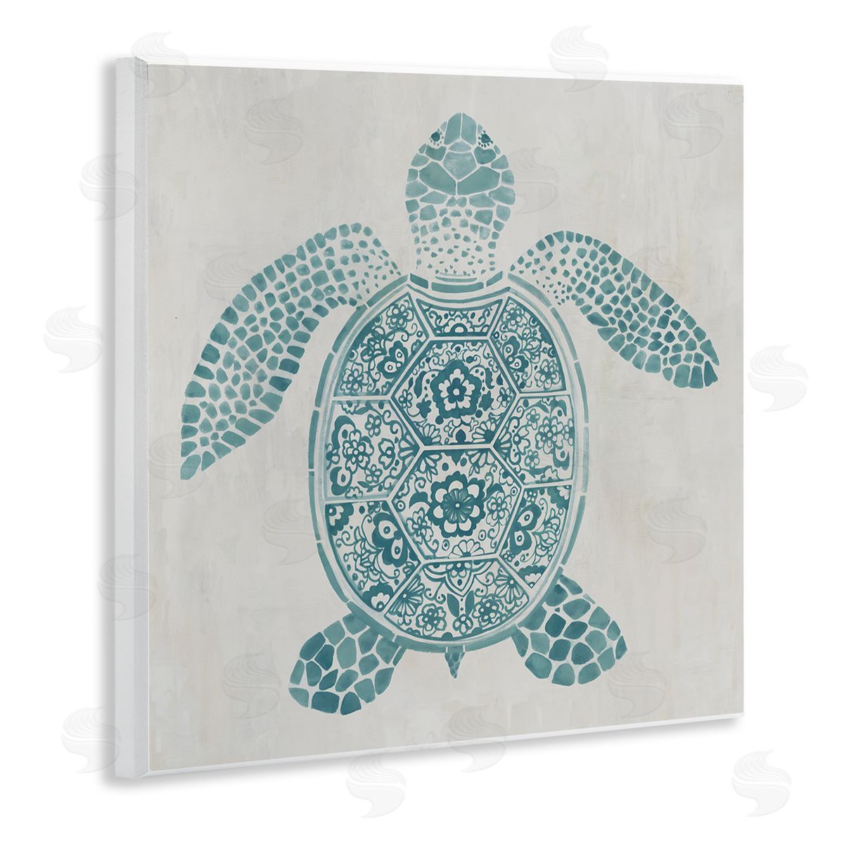 Hannah Dawson | Mediterranean Patterned Turtle
