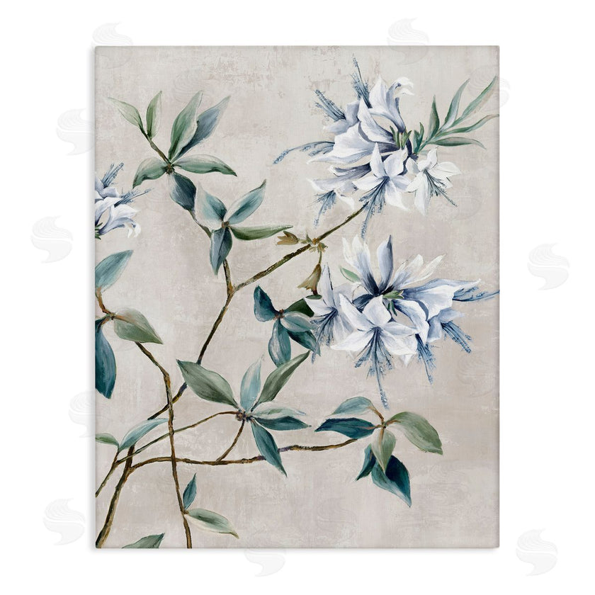 Alex Black | Clusters of White Flowers