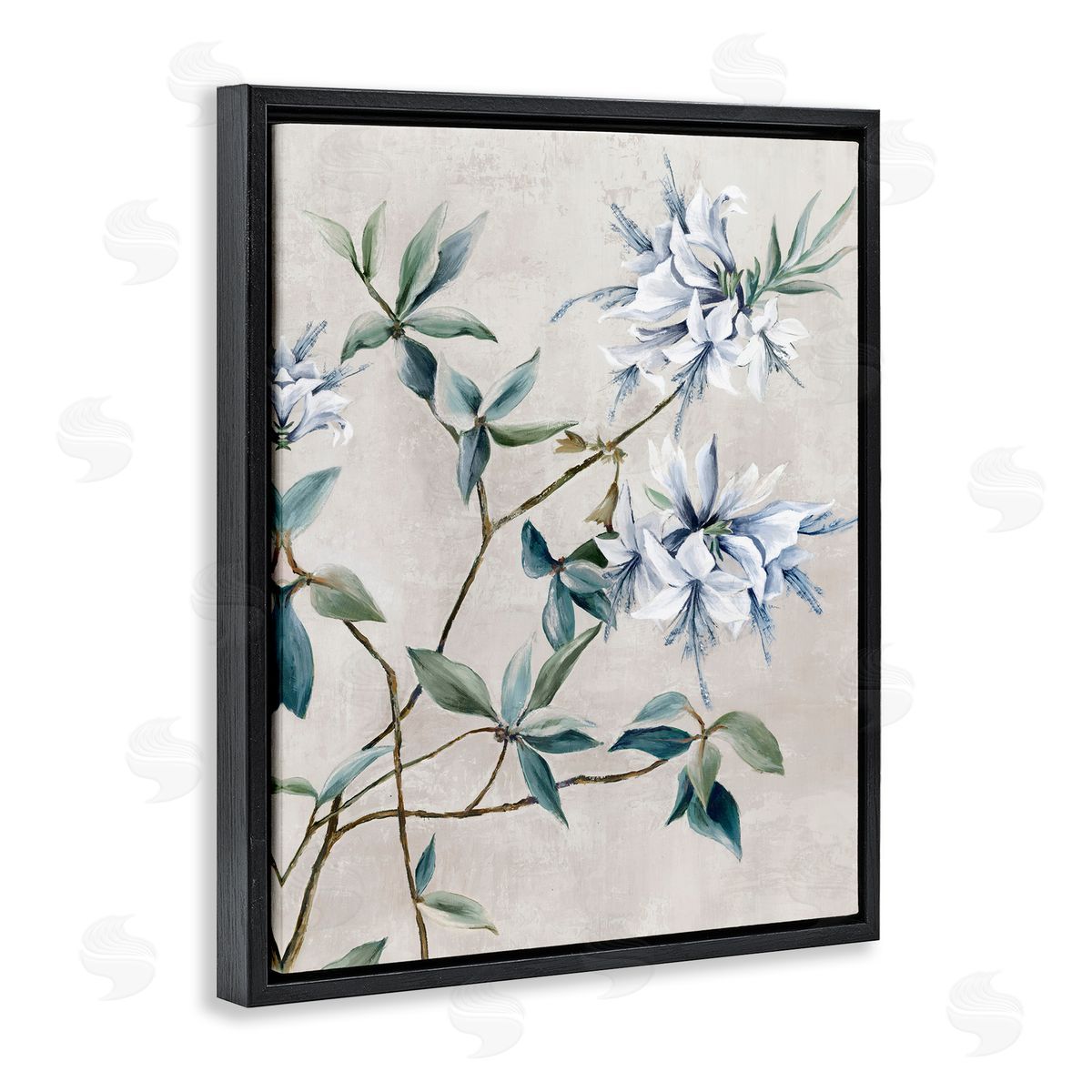 Alex Black | Clusters of White Flowers