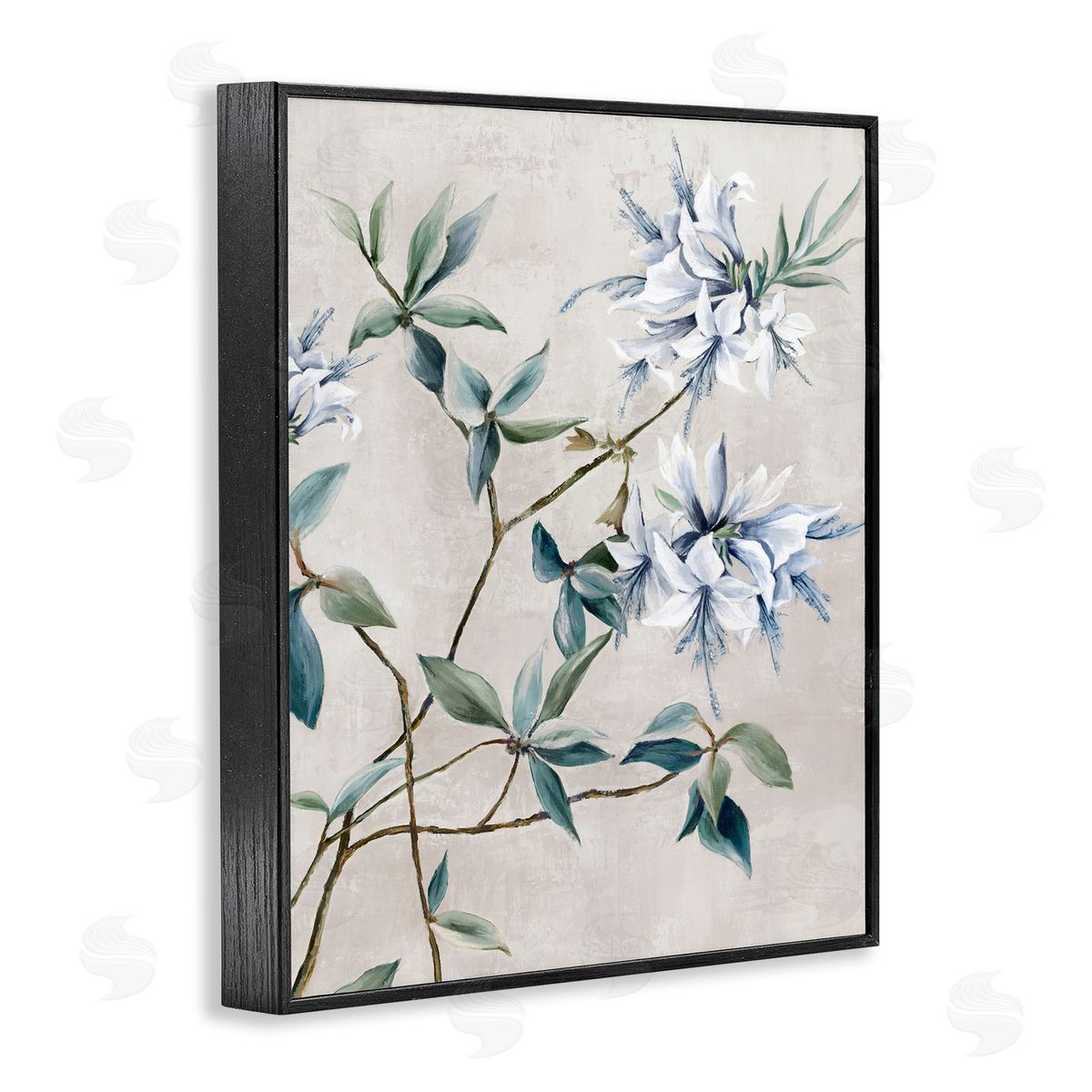 Alex Black | Clusters of White Flowers