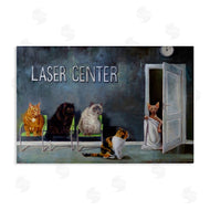 Lucia Heffernan | Funny Hairless Cat Clinic