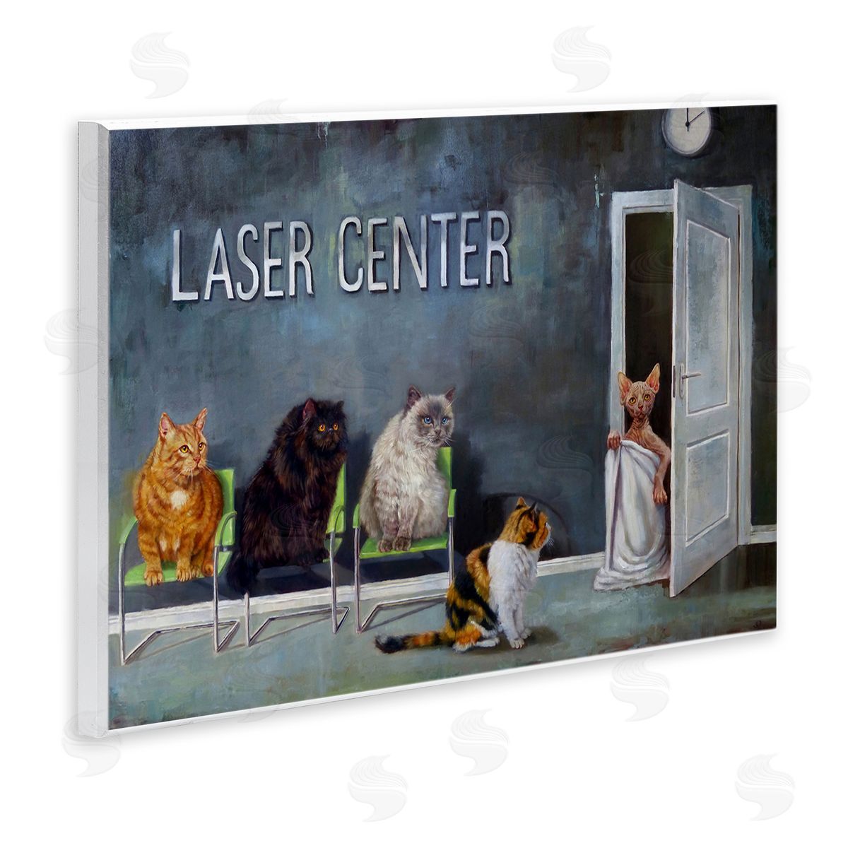 Lucia Heffernan | Funny Hairless Cat Clinic