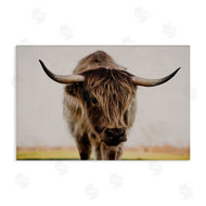 Dakota Diener | Longhorn with Piercing Gaze