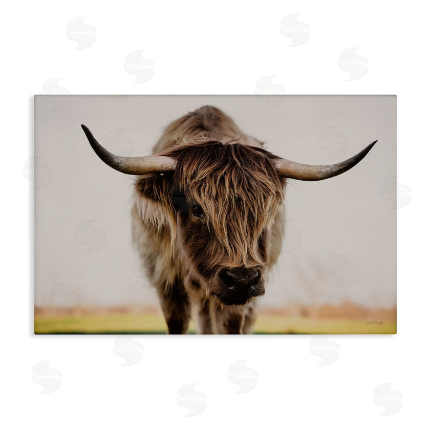 Dakota Diener | Longhorn with Piercing Gaze