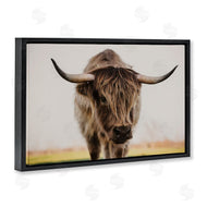 Dakota Diener | Longhorn with Piercing Gaze