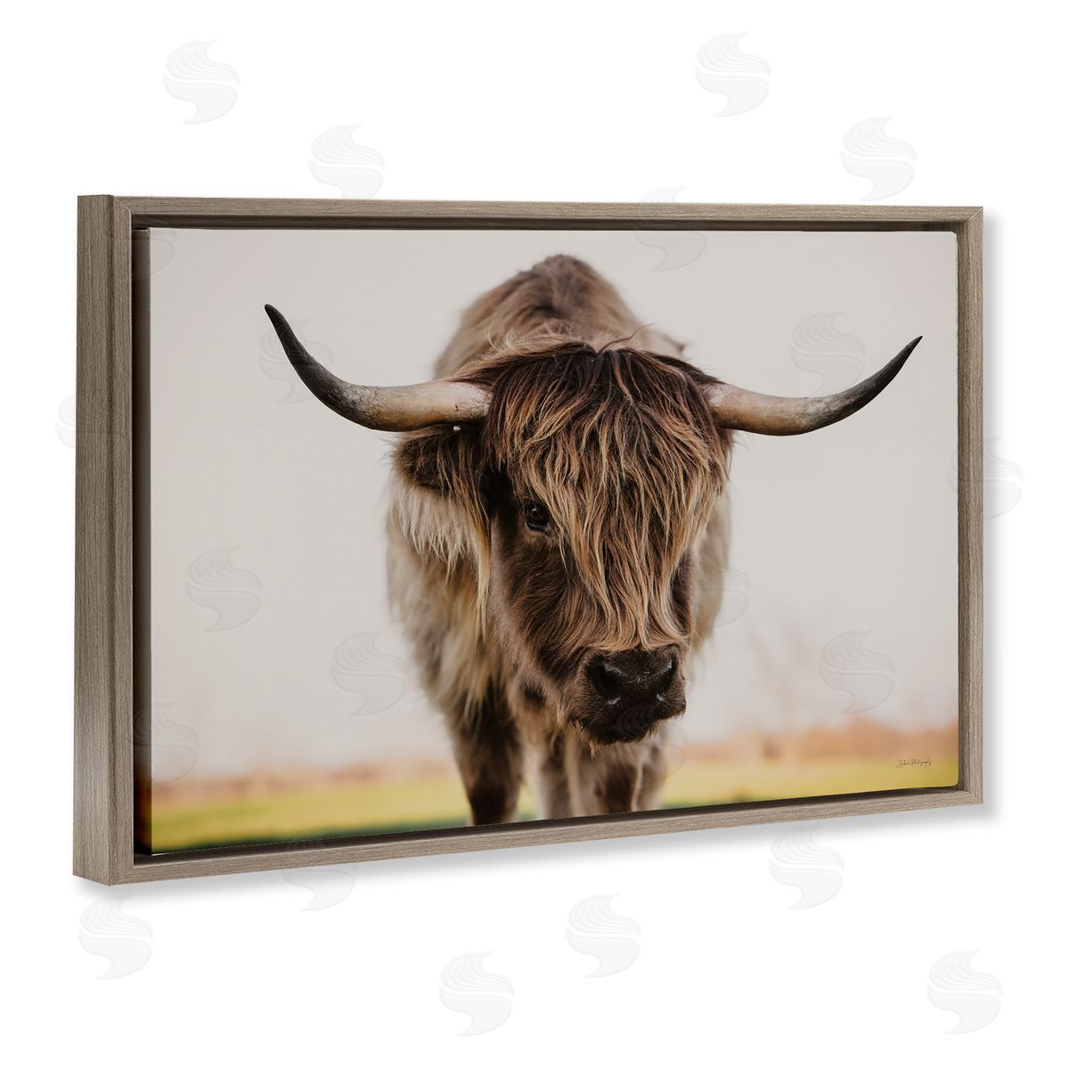 Dakota Diener | Longhorn with Piercing Gaze