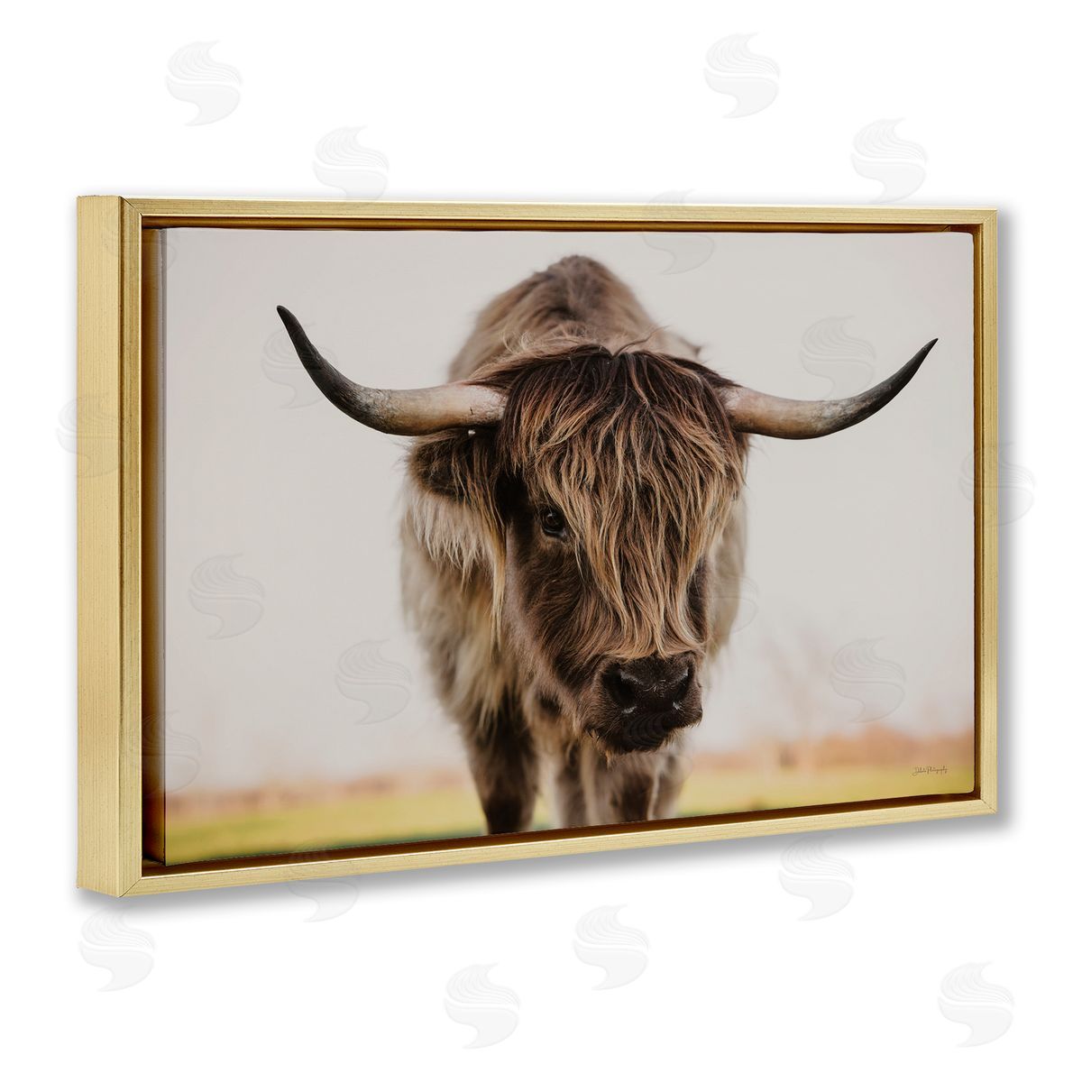 Dakota Diener | Longhorn with Piercing Gaze