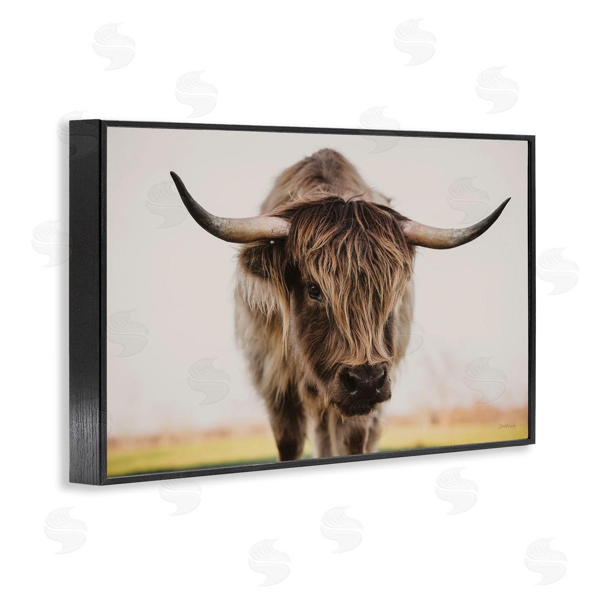 Dakota Diener | Longhorn with Piercing Gaze