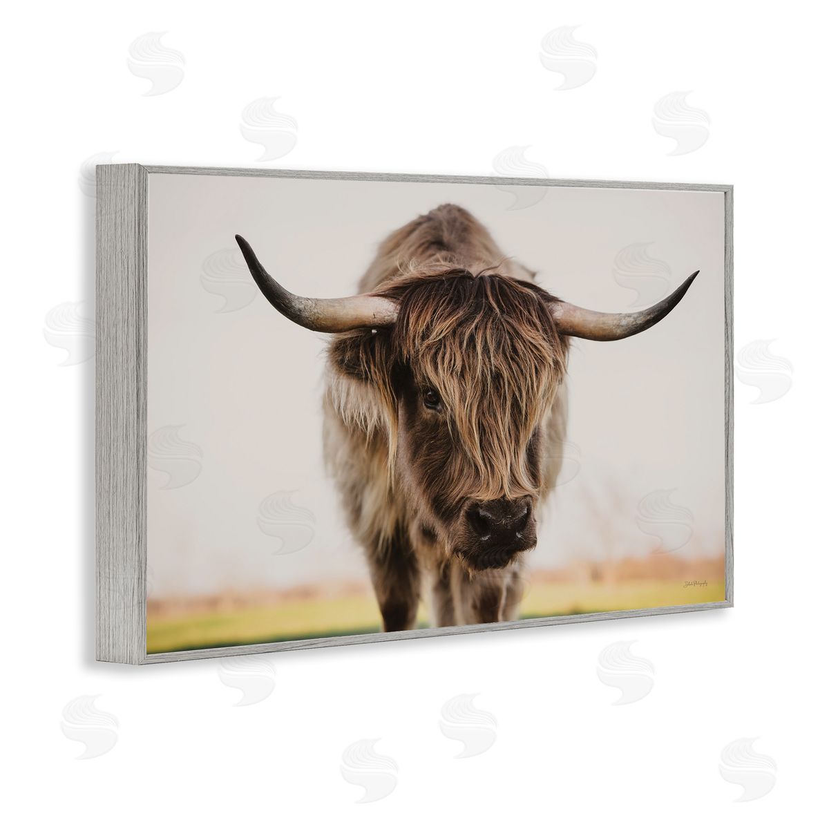 Dakota Diener | Longhorn with Piercing Gaze