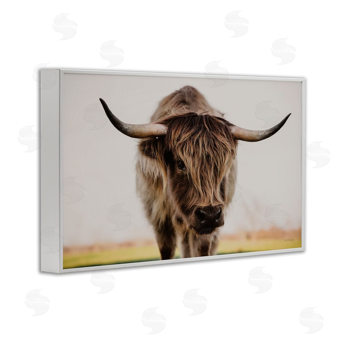 Dakota Diener | Longhorn with Piercing Gaze