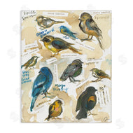 Jessica Mingo | Backyard Birds Identities