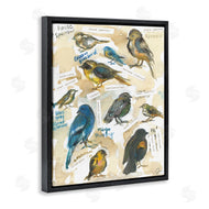 Jessica Mingo | Backyard Birds Identities