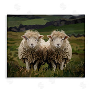 Amelia Noyes | Twin Sheep in Pasture