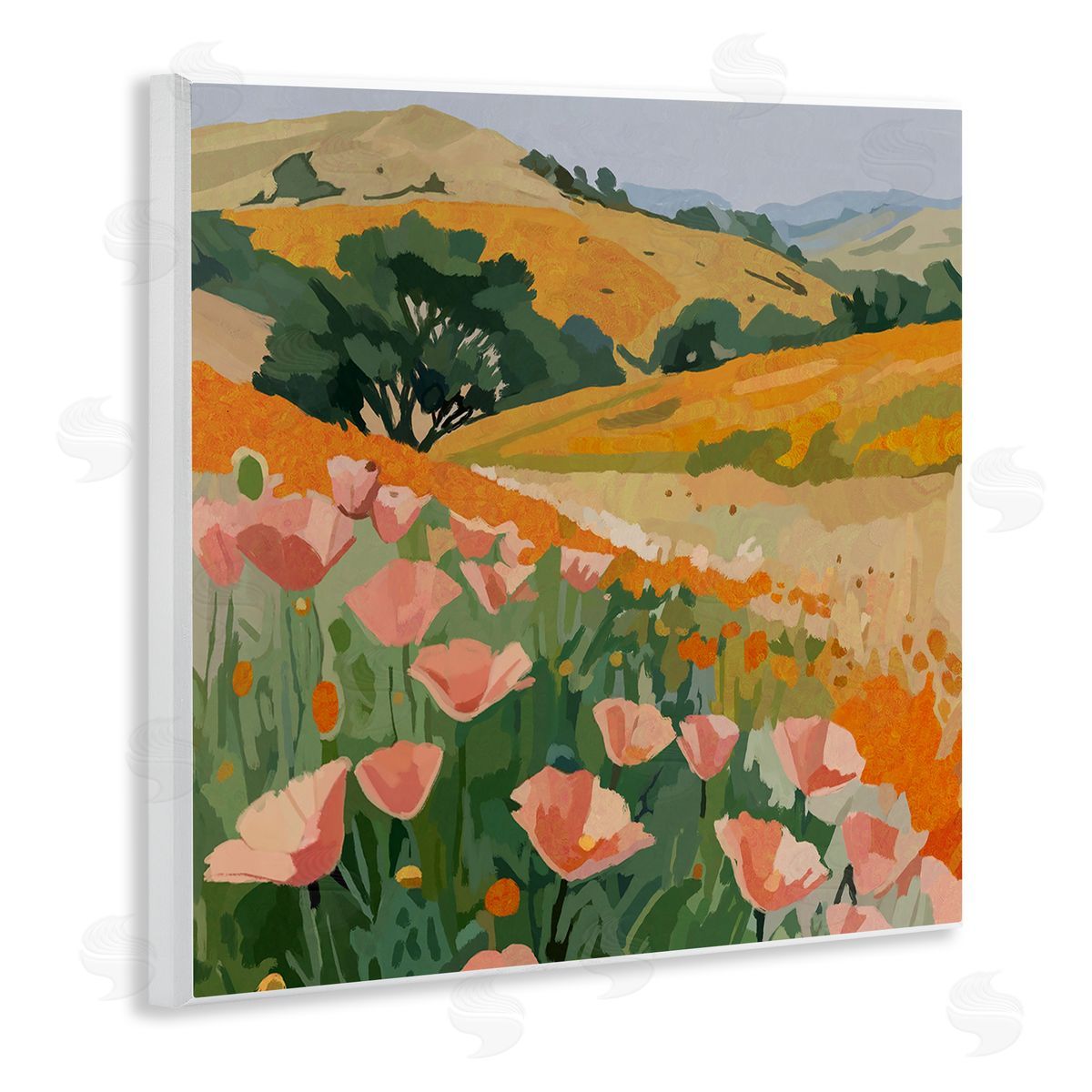 Amelia Noyes | California Poppies Meadow