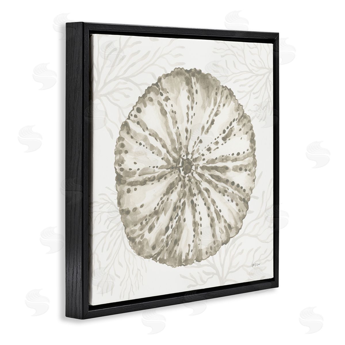 Yvette St. Amant | Sea Urchin & Neutral Coral