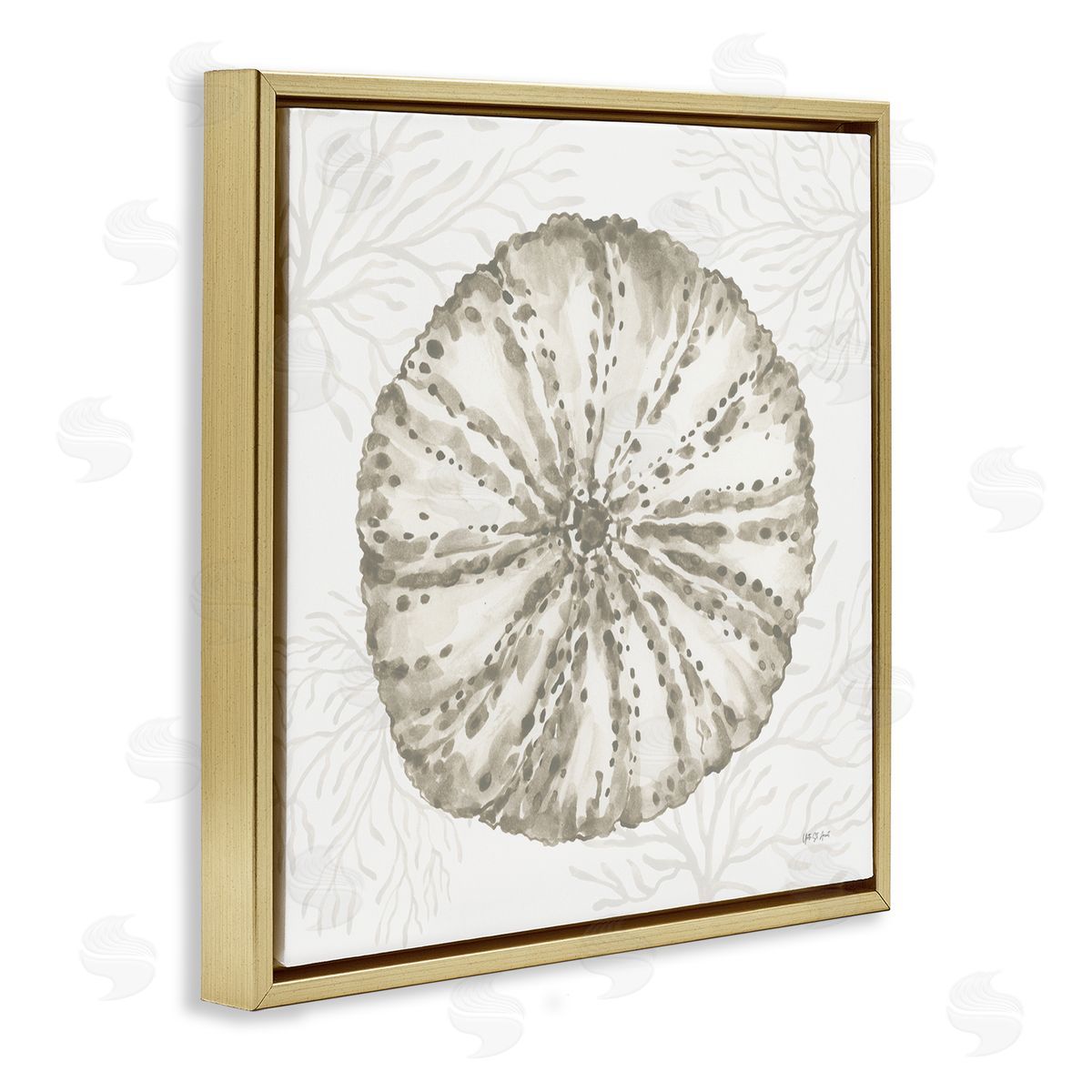 Yvette St. Amant | Sea Urchin & Neutral Coral
