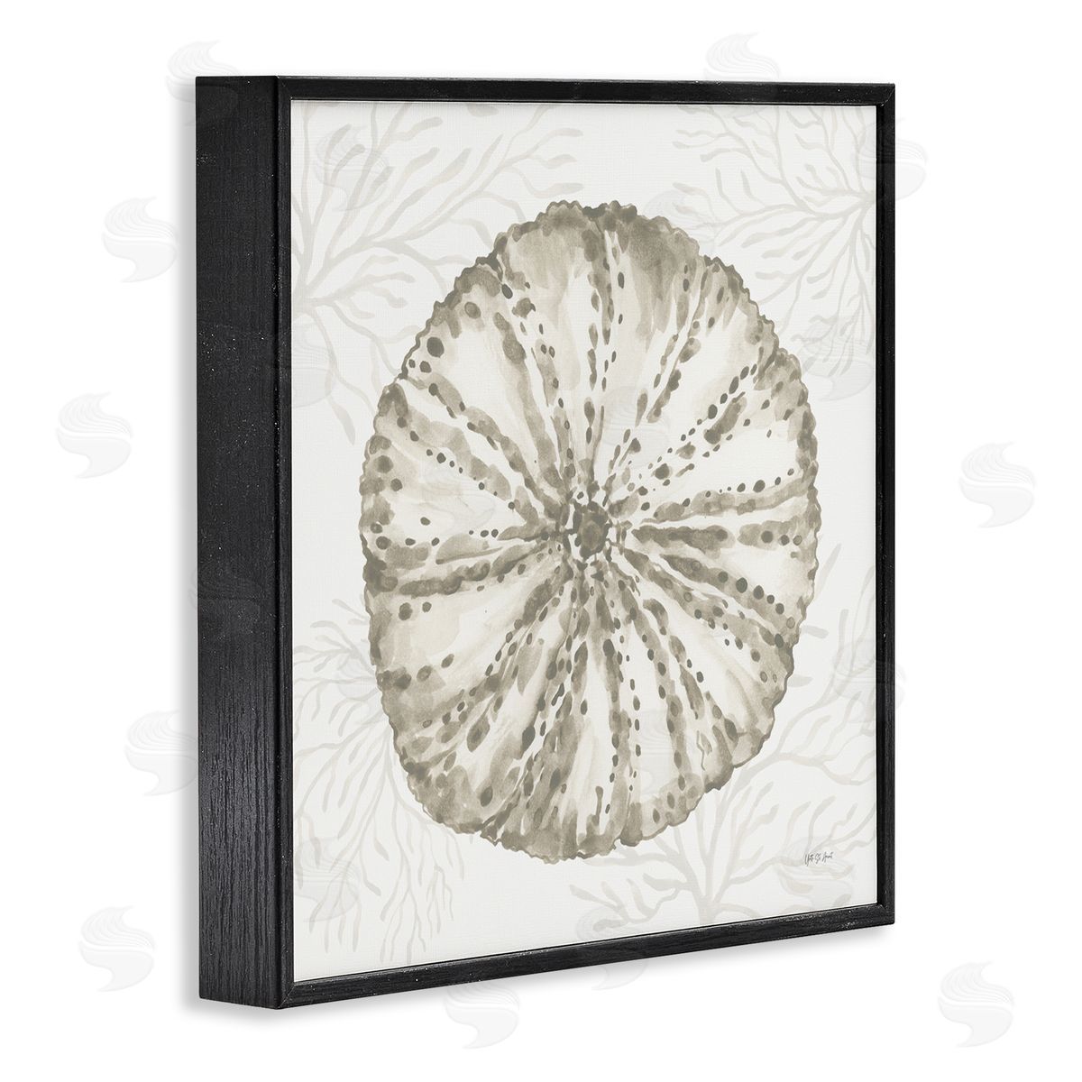 Yvette St. Amant | Sea Urchin & Neutral Coral