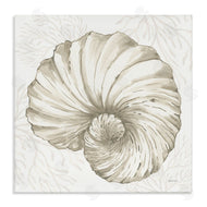 Yvette St. Amant | Spiral Shell & Neutral Coral