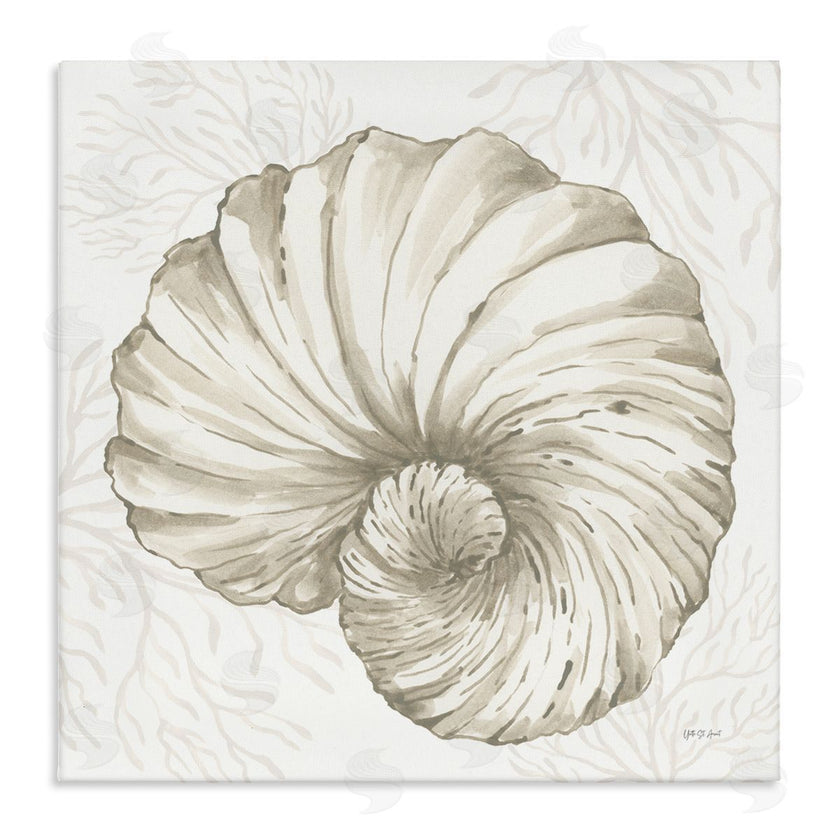Yvette St. Amant | Spiral Shell & Neutral Coral