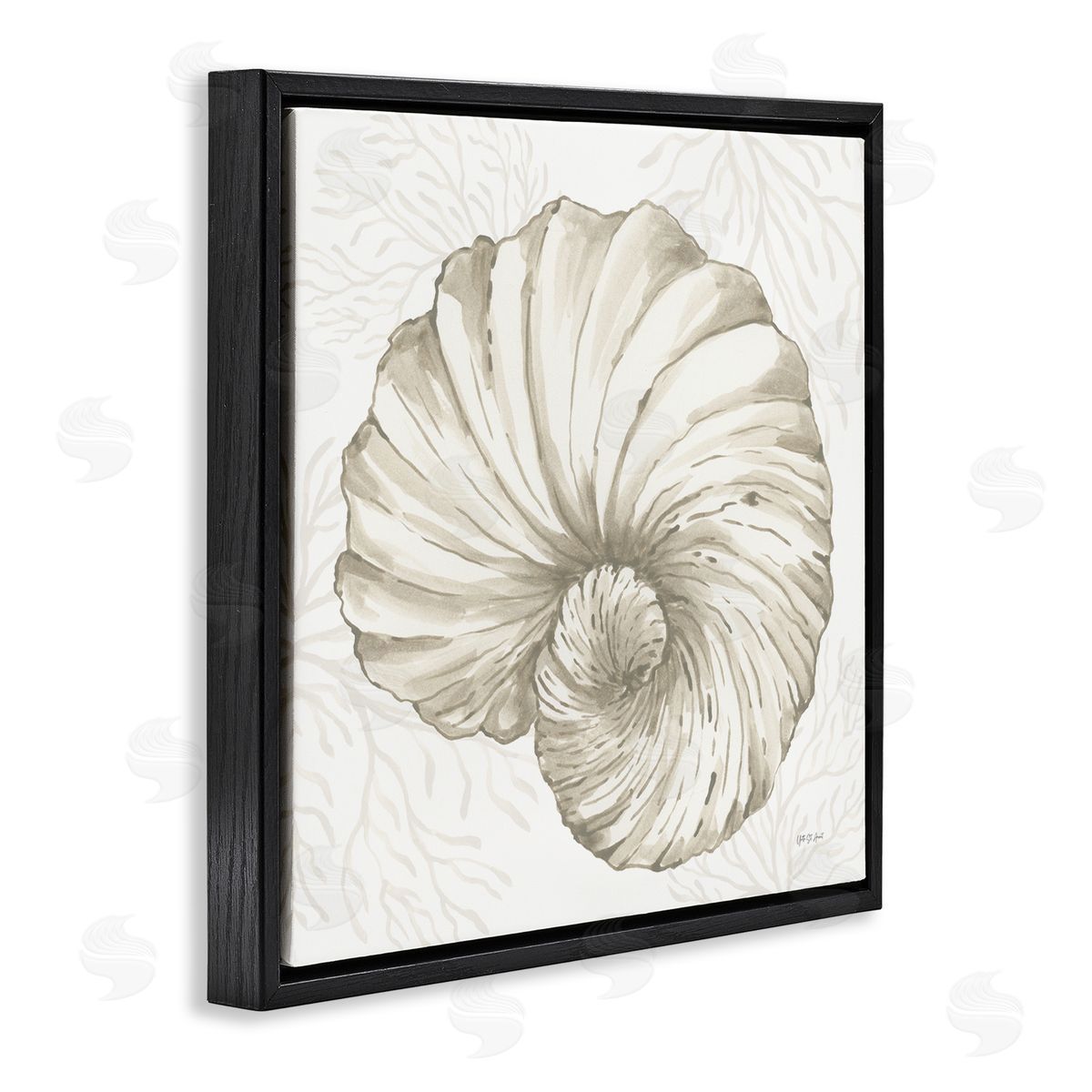Yvette St. Amant | Spiral Shell & Neutral Coral