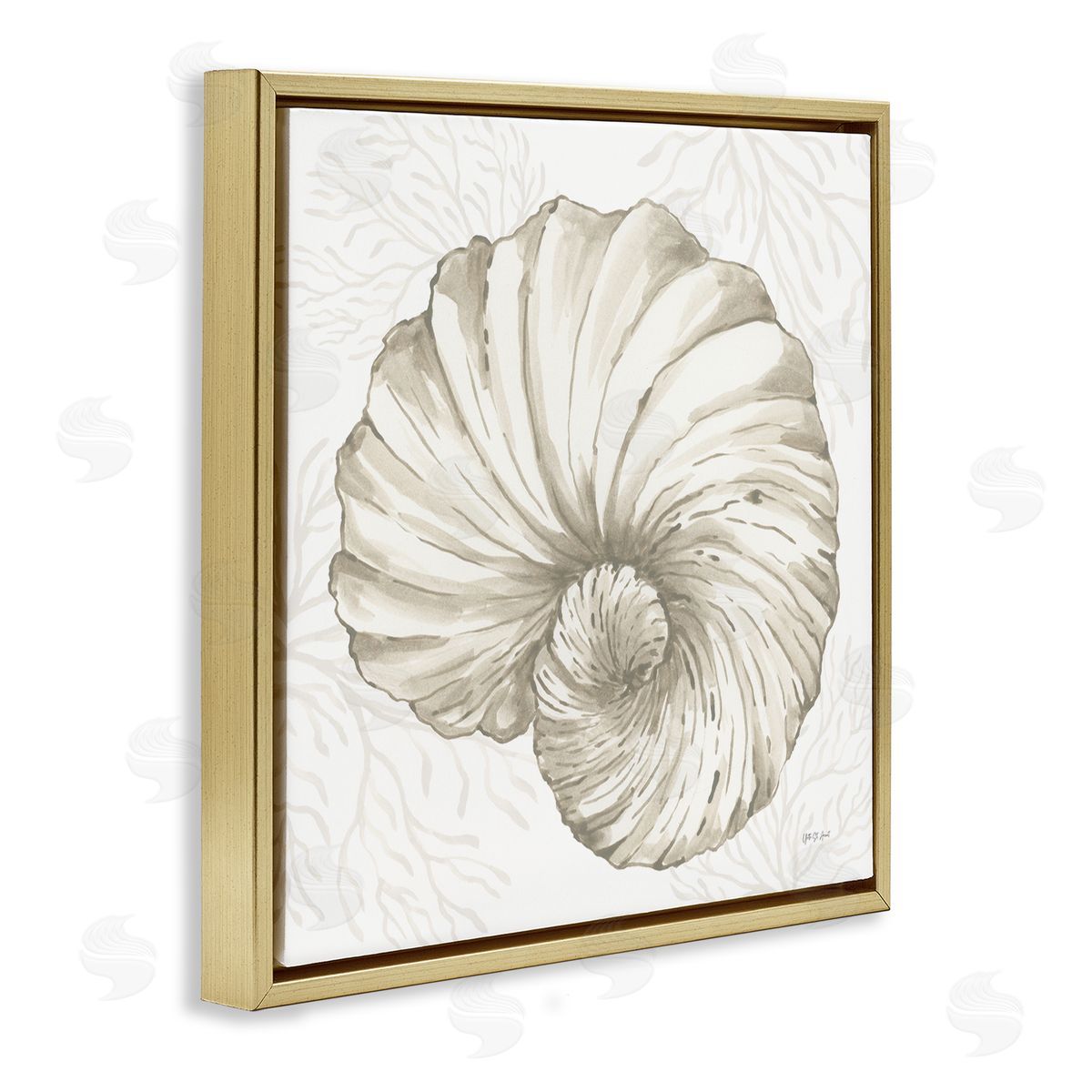 Yvette St. Amant | Spiral Shell & Neutral Coral