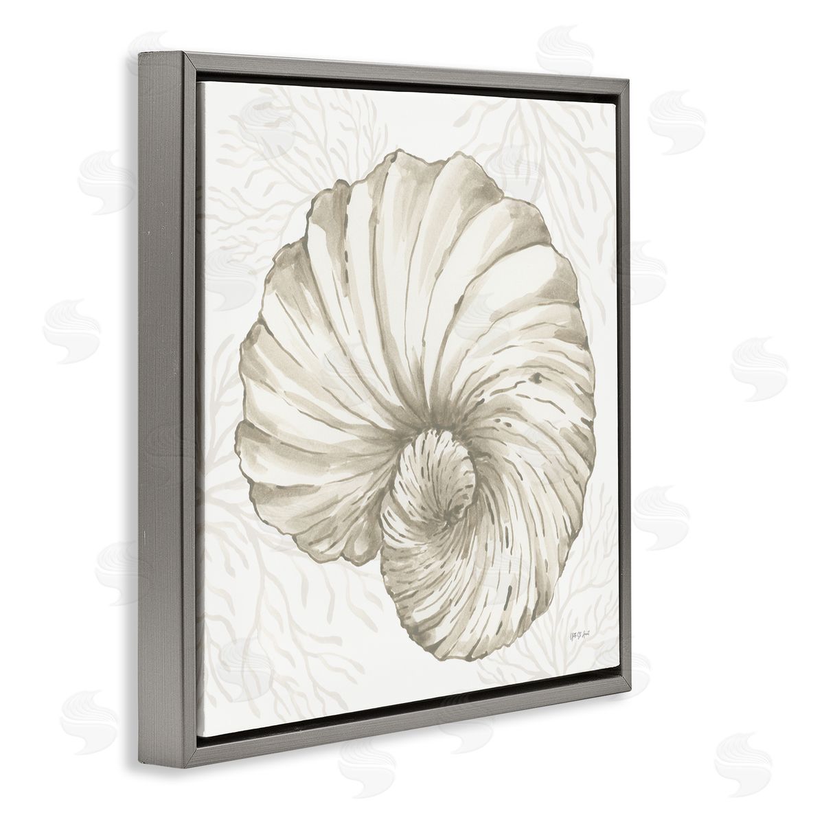 Yvette St. Amant | Spiral Shell & Neutral Coral