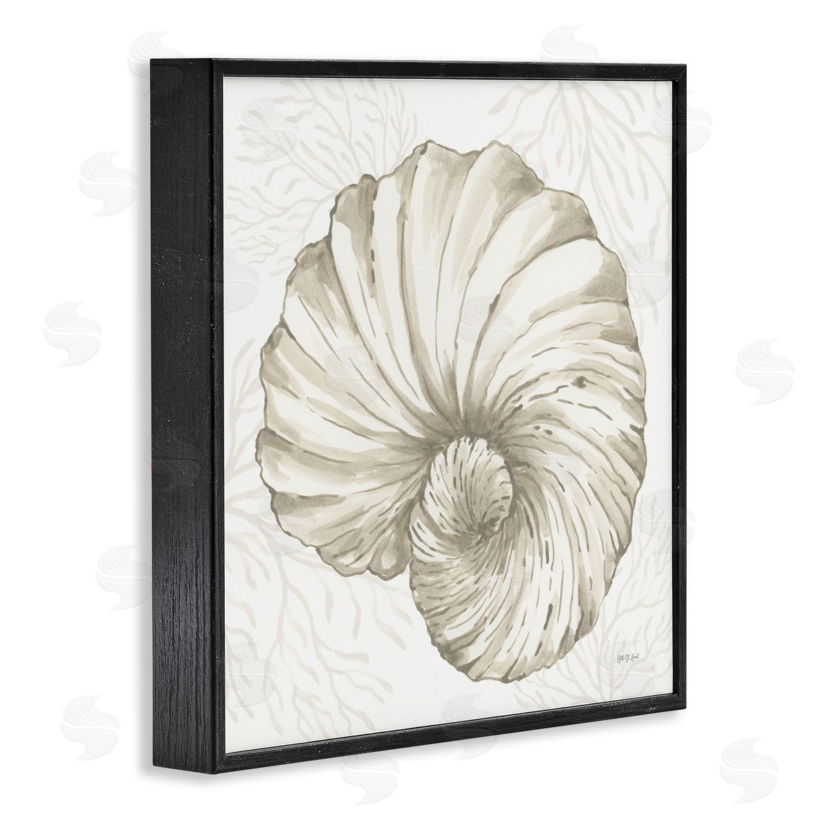 Yvette St. Amant | Spiral Shell & Neutral Coral