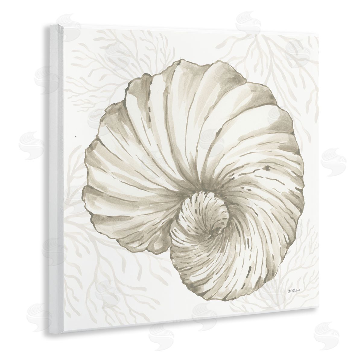 Yvette St. Amant | Spiral Shell & Neutral Coral