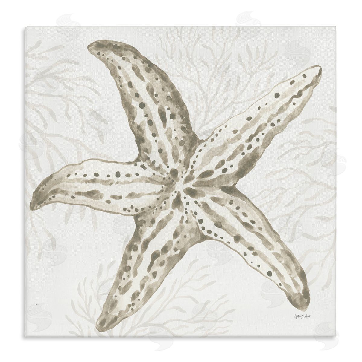 Yvette St. Amant | Starfish & Neutral Coral