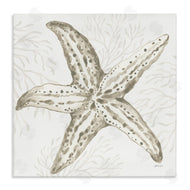 Yvette St. Amant | Starfish & Neutral Coral