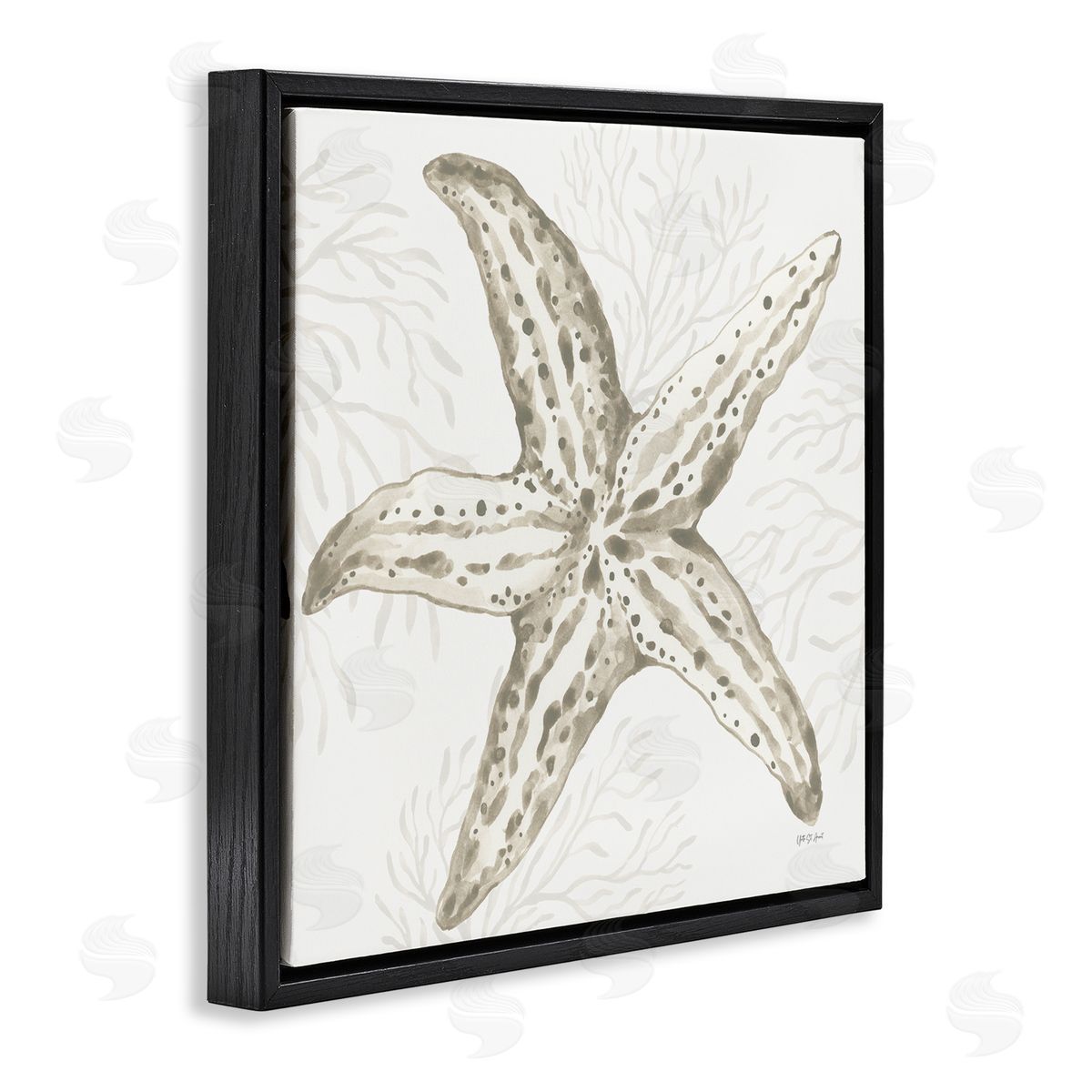 Yvette St. Amant | Starfish & Neutral Coral