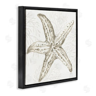 Yvette St. Amant | Starfish & Neutral Coral