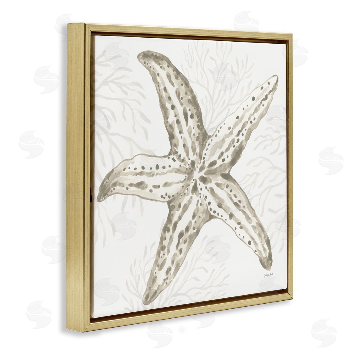 Yvette St. Amant | Starfish & Neutral Coral