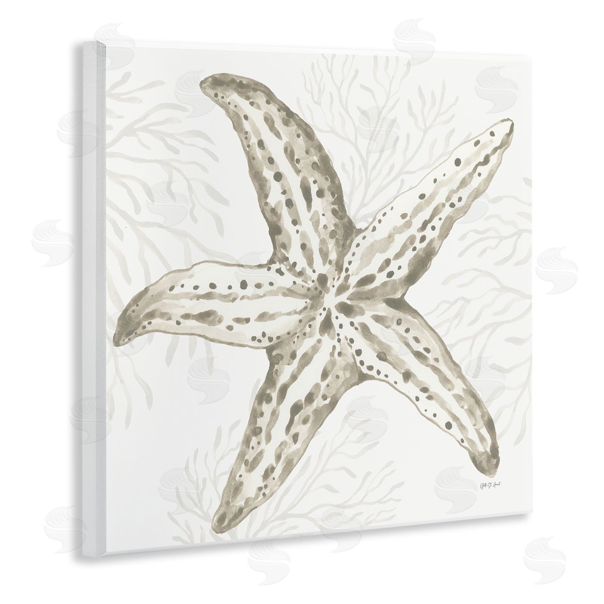 Yvette St. Amant | Starfish & Neutral Coral