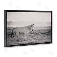 Nathan Larson | Quiet Atmosphere with Horse