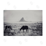Nathan Larson | Western Range with Horses